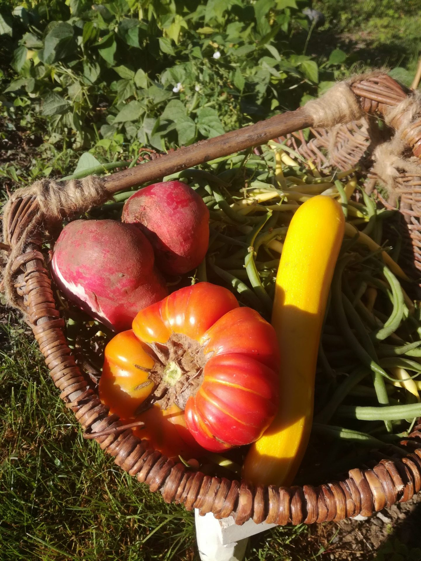 Permaculture